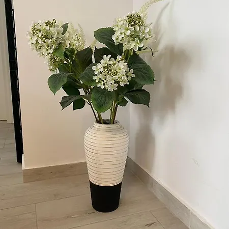 Apartamento Andi *